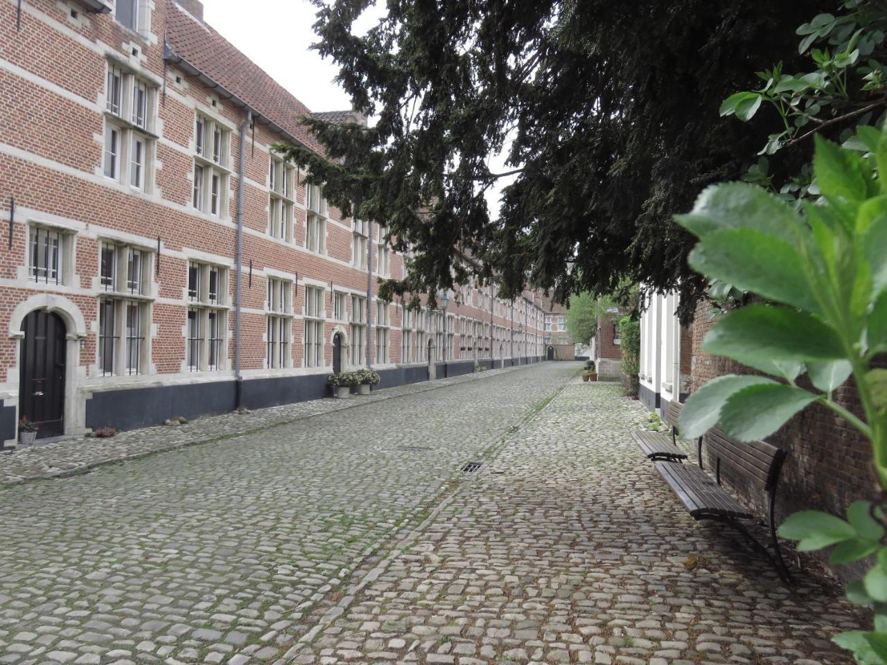 Lovely Guesthouse Lier Lint Exterior foto